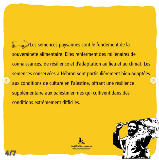 Nous condamnons la destruction des semences palestiniennes - 4/7