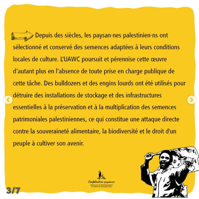 Nous condamnons la destruction des semences palestiniennes - 3/7