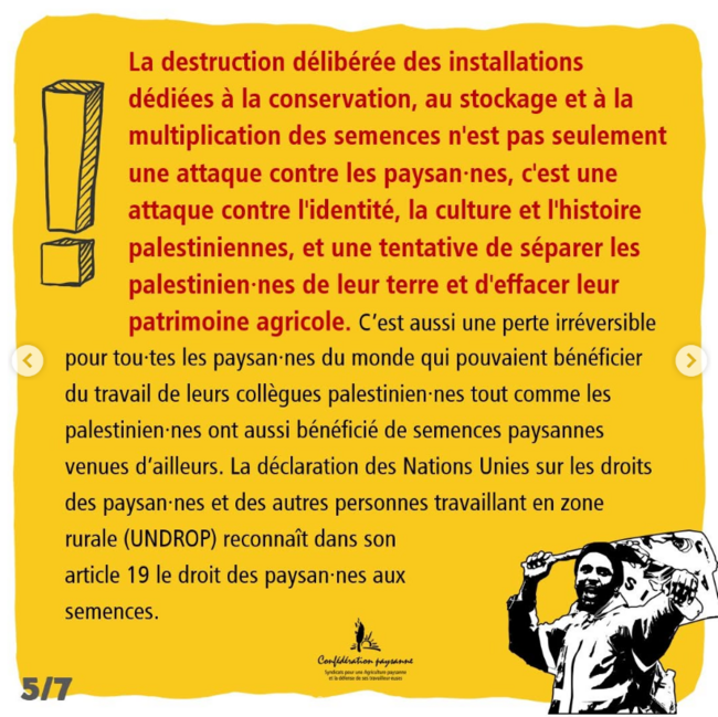 Nous condamnons la destruction des semences palestiniennes - 5/7
