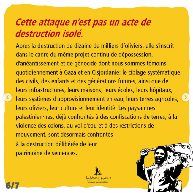 Nous condamnons la destruction des semences palestiniennes - 6/7